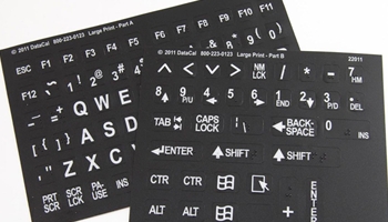 Large Print Braille Labels