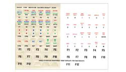 Microsoft Word 2000 Keyboard Labels